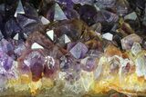 Purple Amethyst Geode - Uruguay #83636-3